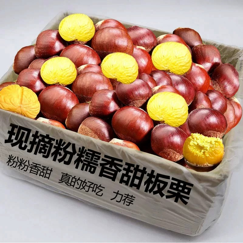 【仅限1单】精选好果丹东生板栗