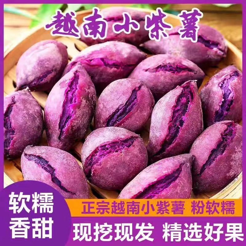 正宗越南品种小紫薯5斤新鲜紫心红薯番薯地瓜烟薯蜜薯珍珠紫薯