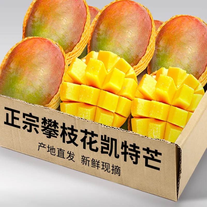 【限时疯抢】爆款凯特芒限时特价