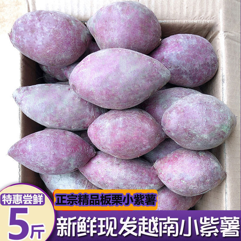 新鲜越南紫薯10斤正宗珍珠板栗当季农家自种现挖粉糯香甜特级番薯怎么看?
