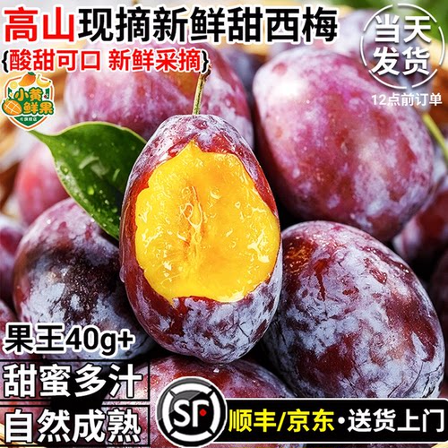 高山西梅新鲜5斤装法兰西脆甜李子水果当季整箱应季孕妇顺丰包邮