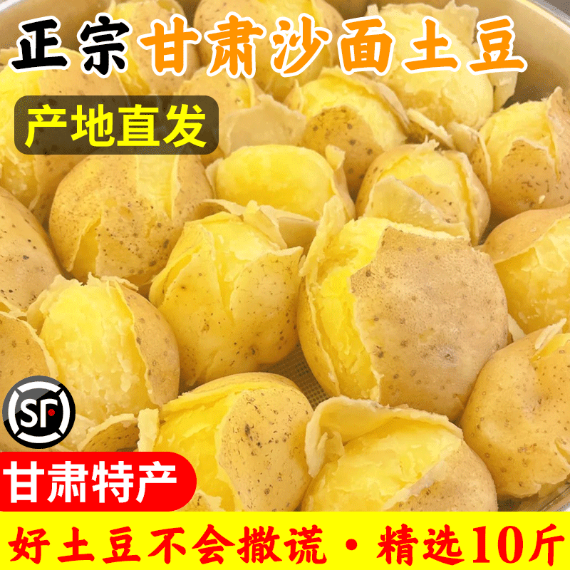 正宗甘肃定西土豆黄心马铃薯洋芋沙面高山旱沙地种植黄金薯10斤装