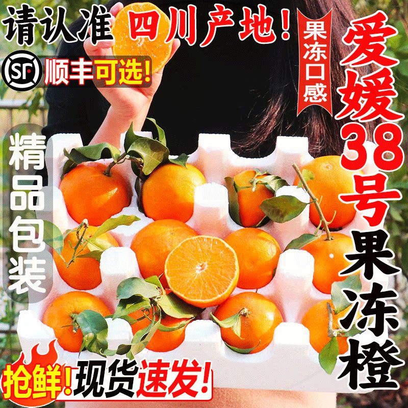 正宗爱媛38号果冻橙!现货速发!