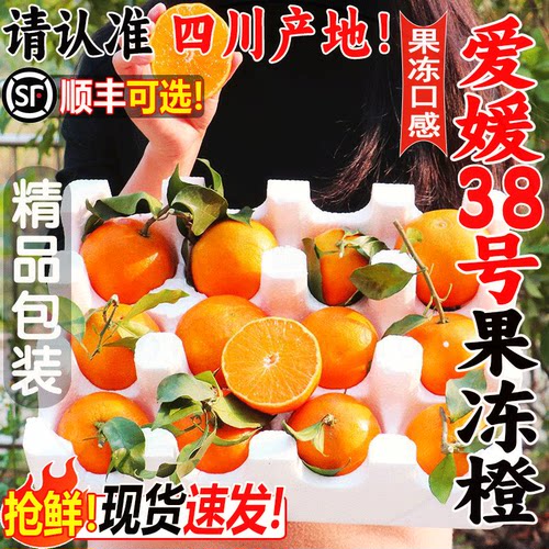 正宗爱媛38号果冻橙！现货速发！