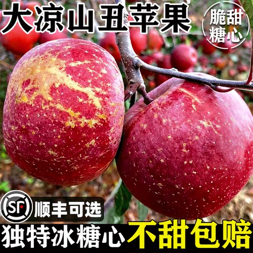 2026大凉山盐源冰糖心丑苹果