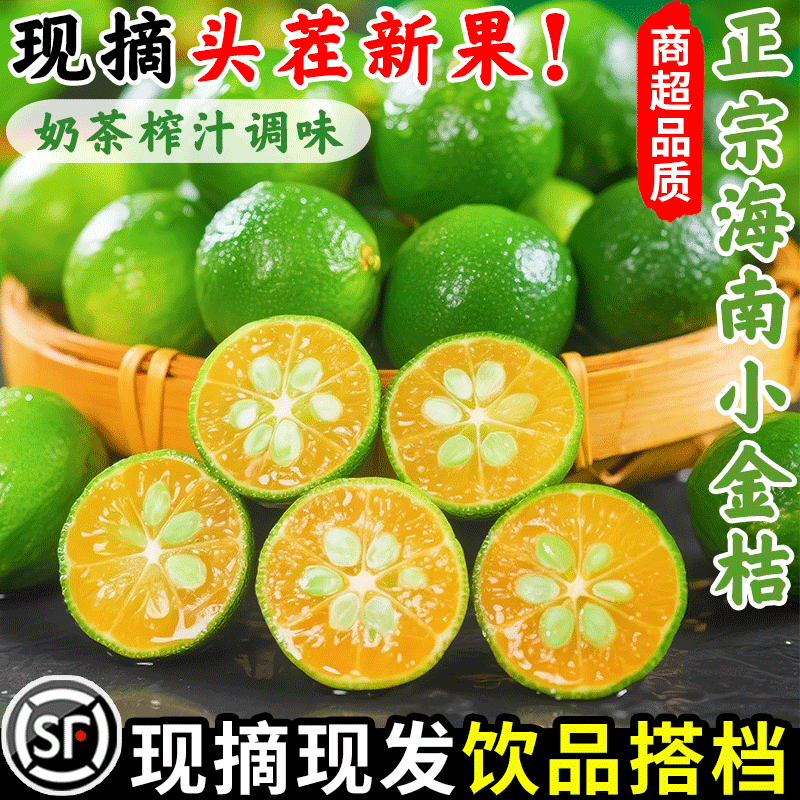 海南小金桔5斤小青柠新鲜青柑青桔皮薄当季水果青柠檬奶茶店专用
