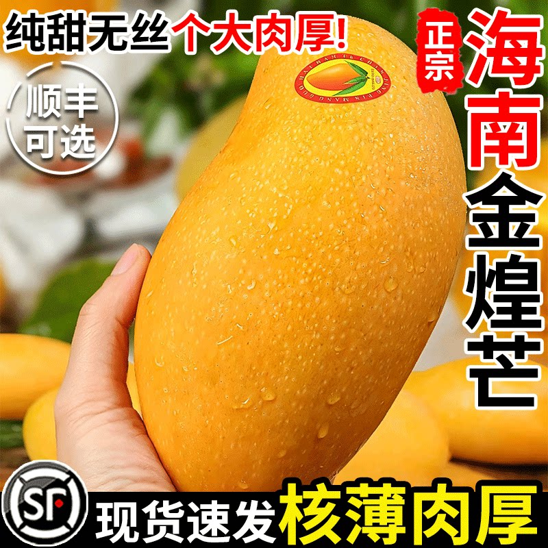 海南特大金煌芒果新鲜10斤水果应当季整箱大青芒超级甜大芒果批发图片