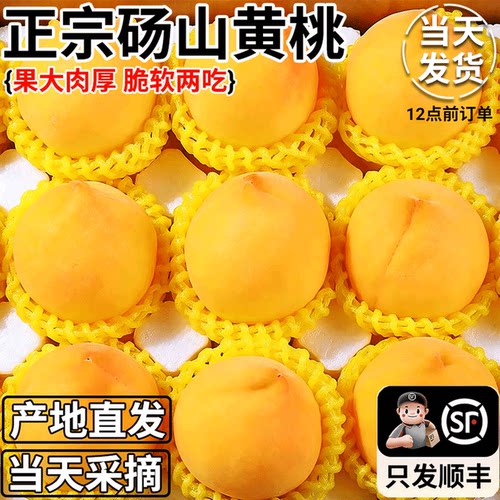 砀山黄桃新鲜水果当季毛桃子整箱黄肉脆甜油蜜桃大果顺丰包邮