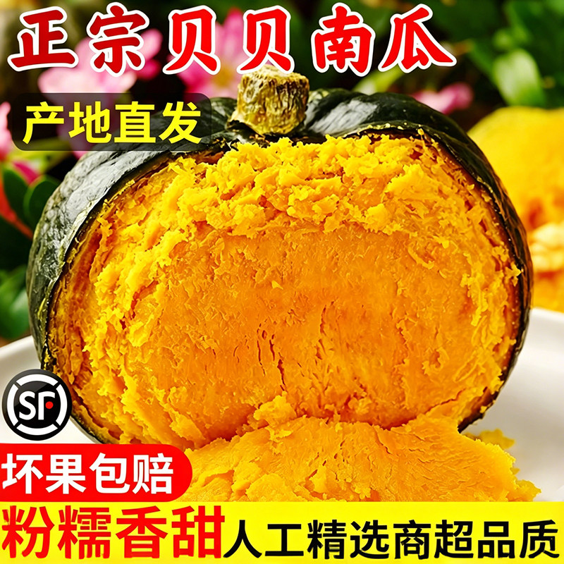 正宗贝贝南瓜新鲜水果蔬菜板栗味小南瓜5斤栗面老瓜宝宝孕妇粉糯