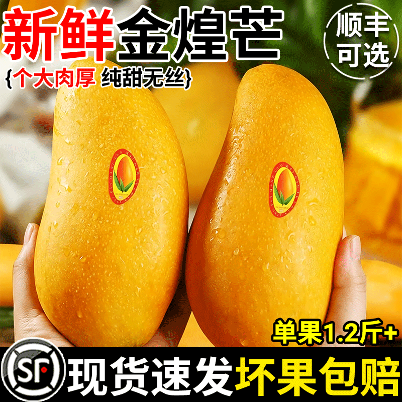 海南金煌芒果个大肉厚皮薄无丝