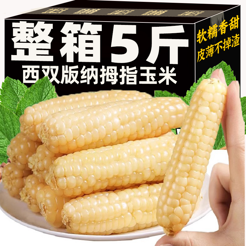 5斤西双版纳拇指小玉米旗舰店云南新鲜香糯手指玉米早餐代餐主食