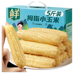 云南特产西双版纳拇指小玉米香糯甜玉米宝宝辅食早餐正餐代餐整箱