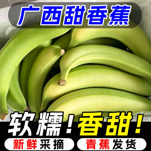 正宗广西高山甜香蕉现摘当季威尼斯青蕉绿蕉新鲜孕妇水果整箱包邮