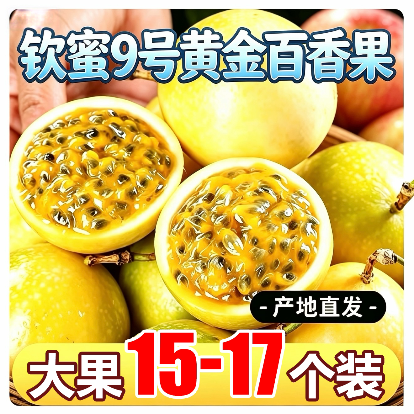 正宗钦蜜9号黄金百香果现摘当季百香果