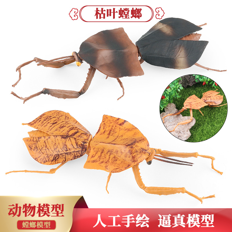 仿真昆虫动物模型三角枯叶螳螂