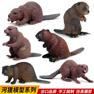 仿真实心海狸河狸模型貂鼠野生动物玩具儿童认知桌面手办礼品
