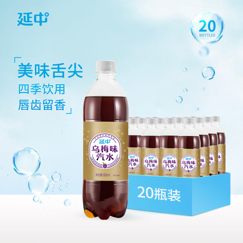 乌梅味汽水600ml*20瓶/箱  碳酸饮料果味汽水饮品