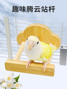 趣味滚筒腾云鹦鹉站杆天然木牡丹玄凤虎皮站架休息平台鹦鹉玩具