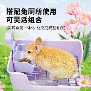 兔子挂碗奶糕食盆兔兔饭碗厕所食厕一体套餐耐用易清洁