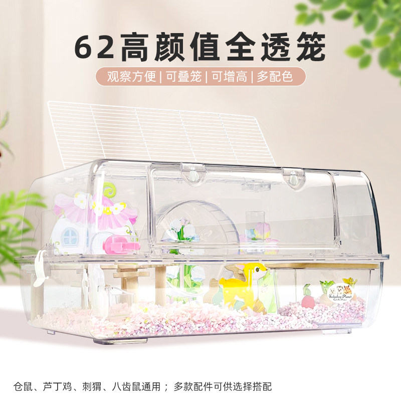 62刺双子金丝熊笼子刺星球图片