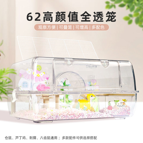 62刺双子金丝熊笼子刺星球
