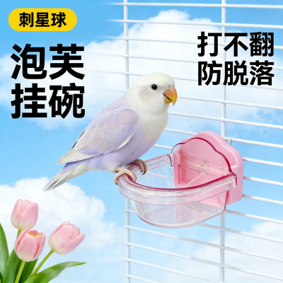 鹦鹉仓鼠食盒挂碗刺星球