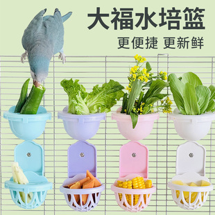 鹦鹉蔬菜大福水培瓶果蔬滤水篮悬挂式小鸟果蔬架蔬菜保鲜罐谷穗夹