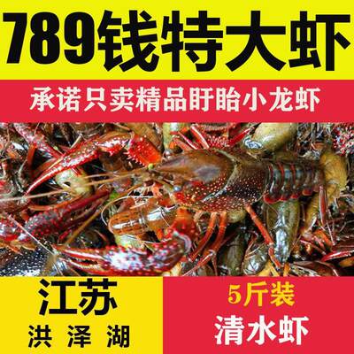 江苏盱眙清水小龙虾鲜活5斤装 洪泽湖789钱特大活体青壳虾红头虾