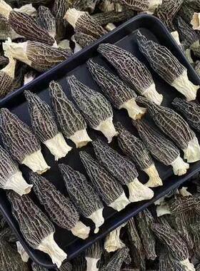 羊肚菌菌2025茬云特产CIS野生剪柄干南货特级500g菇类头煲汤火锅