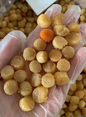 大连贝瑶柱3OCI00辅食提鲜滋补海元干货营养煲头汤煮孕妇小孩1鲜