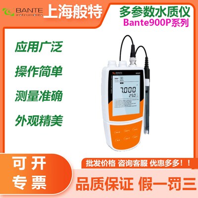 上海般特Bante900P-CN多参数水质分析仪电导率仪溶氧仪TDS盐度计