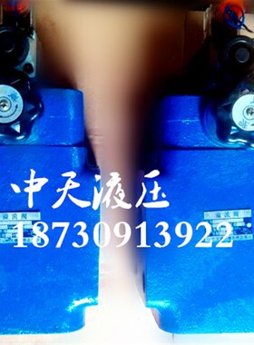 电磁溢流阀YFBH-F50H 电磁8Y溢流阀调压阀 中天液压
