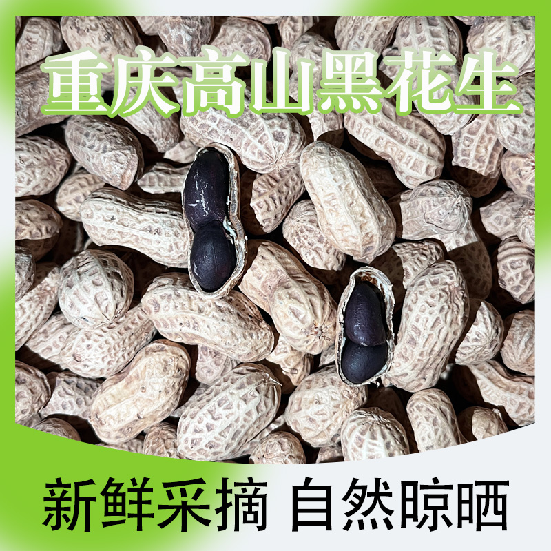 带壳精选黑花生干花生农村自家种植干花生高山富硒黑花生黑皮花生
