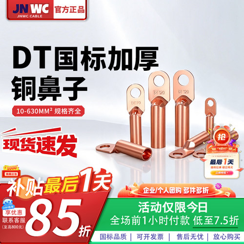 DT铜鼻子接线端子国标