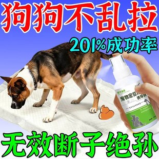 狗狗定点排便神器宠物不乱拉屎上厕所诱导剂引大小便尿垫定点训练