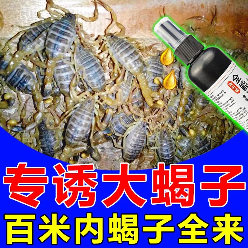 一滴诱万只】抓蝎子神器专用喷剂