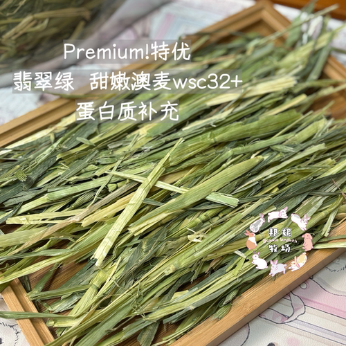 天花板26新5A绿早割款甜澳麦