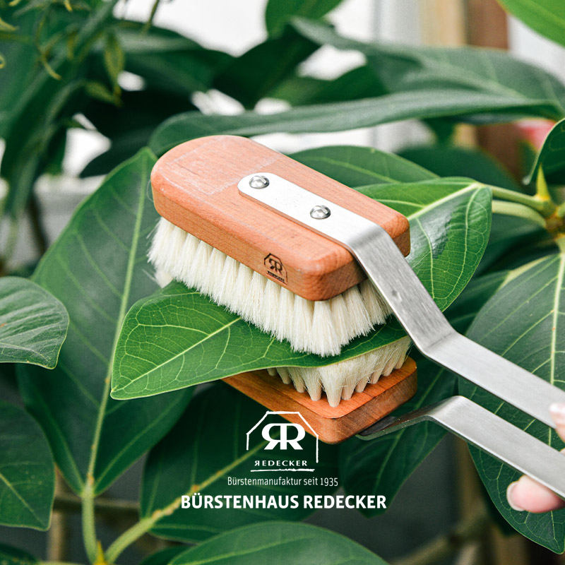 REDECKER大叶绿植清洁除尘刷