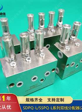 分配器1SDPQ-L1 2SDPQ-L1 3SDPQ-L1 4SDPQ-L1 1SDPQ-L2 2DSPQ-L2