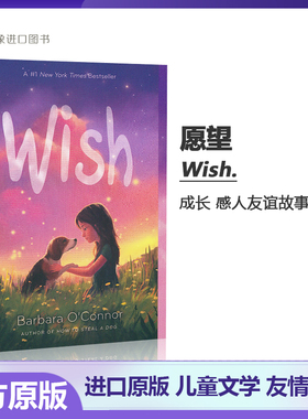 愿望 Wish 英文原版 Barbara O'Connor 儿童文学课外阅读 狗狗温暖故事 每个人都渴望爱，但更重要的是珍惜拥有、看见爱