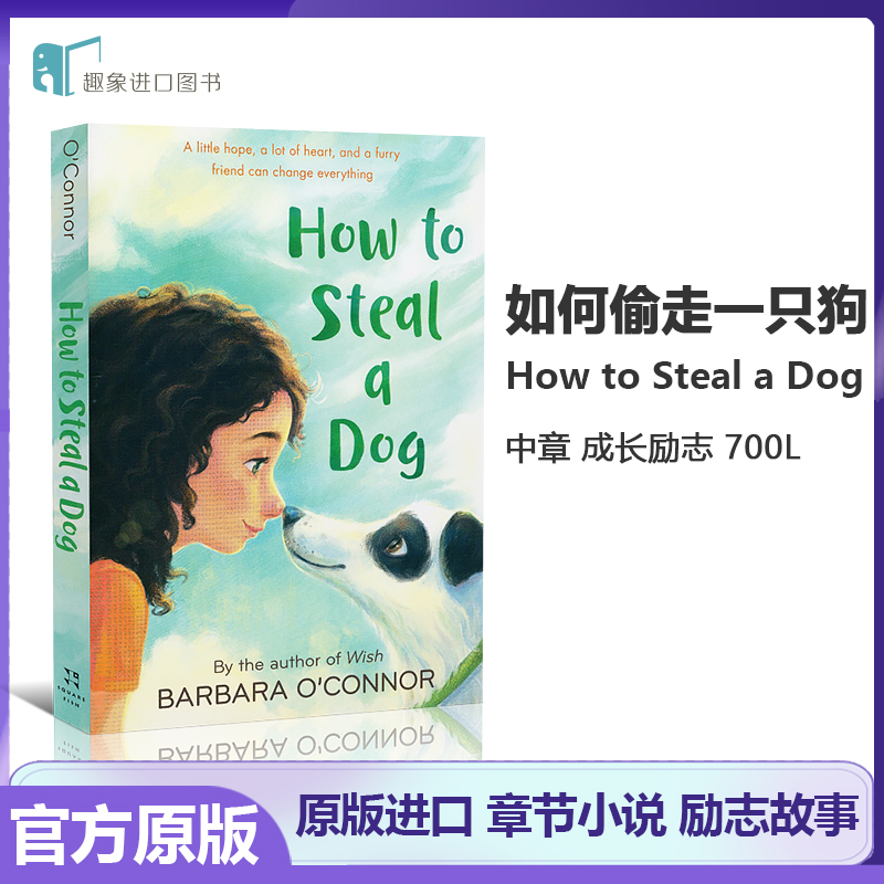 如何偷走一只狗 英文原版How To Steal A Dog 偷狗的完美方法道德与现实困境的现实性故事 女性力量与价值观题材小说 进口