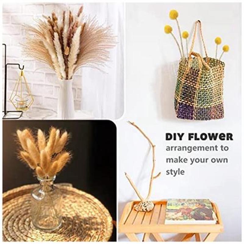 Pampas Grass Dried Dried Flowers Pampas Grass Decoration Nat