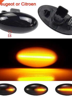 Peugeot 307 206 407 107 607 Citroen C1 C2 C3 C5 LED Dynamic