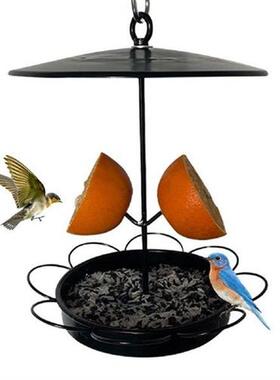 Food Holder Bird Feeder Balconies Wildlife Easy Install