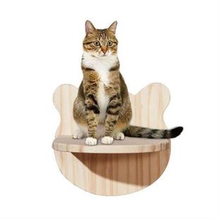 Cat Climbing Frame Wall Mounted Cat Hammock Durable Safe