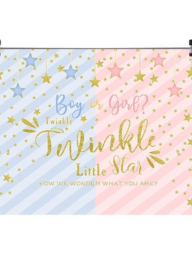 NeoBack Twinkle Star Backdrop Gender Reveal Party Boy or Gi
