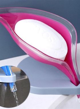 Cepat Drainase Leafologi Dekoratif Drainase Sabun Pemegang