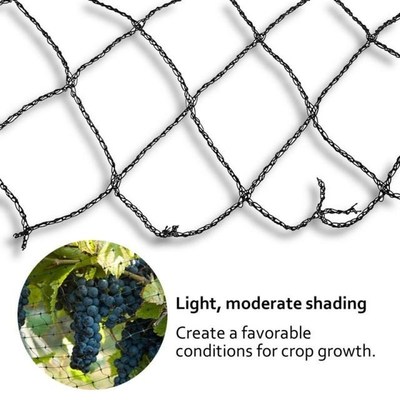Heavy Anti Bird Netting Net Garden fence and Crops Protectiv