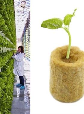 50/100Pcs 27*20mm Cylindrical Soilless Culture Substrate