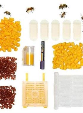 Queen Bee Rearing System Kit Bees Keeping Supplies And